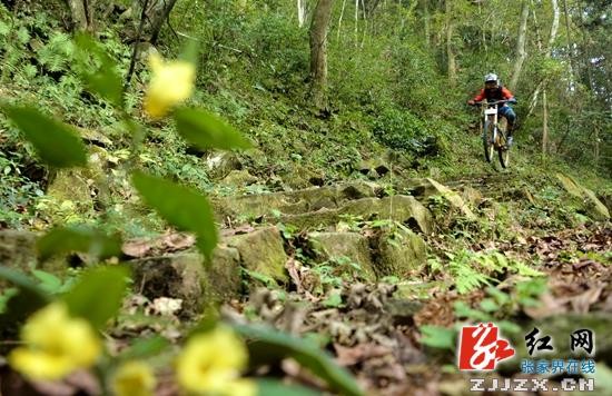 世界首條峰林極限速降賽道落戶張家界黃石寨景區