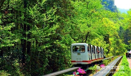 什么樣的旅游，才能自己做主？