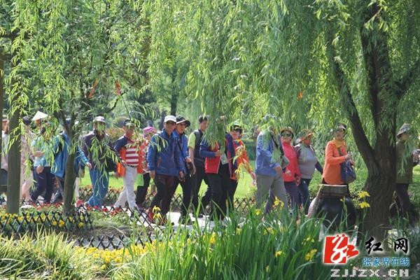 中國旅游日：張家界黃龍洞廣場(chǎng)“花花世界”喜迎游人（組圖）