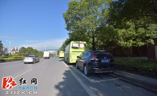 張家界最全停車位攻略，再也不擔心找不到停車位了！