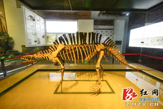 【市重點工程追蹤】張家界市博物館將于今年7月開放